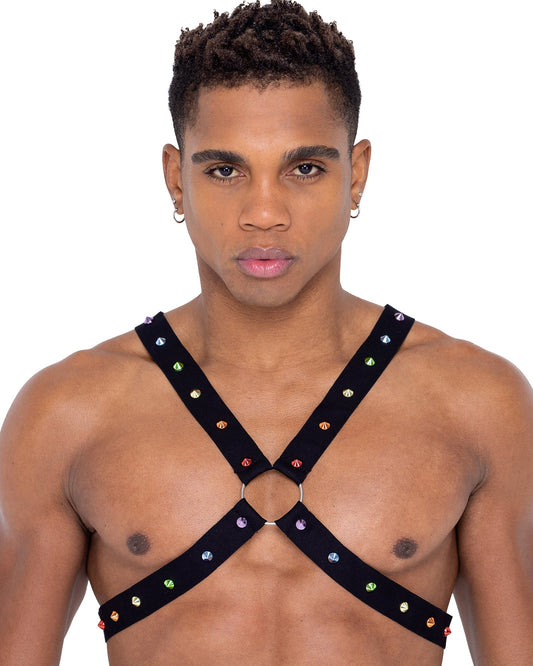 6337 - Men’s Pride Harness