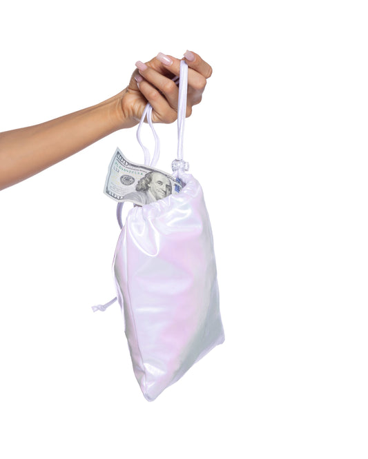 6729 - Metallic Iridescent Money Bag